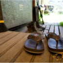 Stoney Creek STC Jandals - NZ Sizing 6 to 14