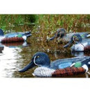 Shoveler (Spooney) 1x Drake & 1x Hen Decoys