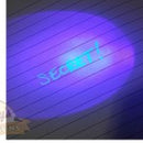 51 LED UV (Ultraviolet Light) Torch / Flashlight