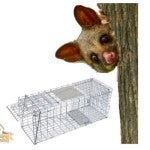 Live Capture Trap / Cage - Possum - Easy To Store Collapsible Design