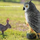 Full Body Owl Decoy - 400mm