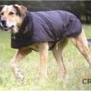 OilSkin Dog Vest 'Clancy' Dog Coat By OutBack Trading Co, 7 Sizes