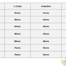 Hi-Vis Oilskin Vest - By Outback Trading Co., - WaterProof