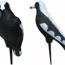 Full Body Magpie Decoy - 430mm